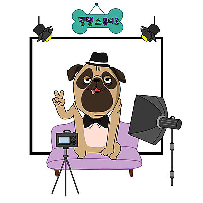 동물 한마리 일러스트 스튜디오 조명 사람없음 반려동물 소파 컬러풀 카메라 귀여움 사진촬영 판넬 강아지 국내일러스트 AI파일 1 컬러 컨셉 의자 전자제품 촬영 개 파일형식 벡터