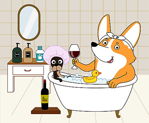 동물 두마리 일러스트 욕조 사람없음 반려동물 컬러풀 귀여움 와인 목욕 거울 강아지 서랍장 오리장난감 애견샴푸 국내일러스트 AI파일 컬러 가구 컨셉 2 주류 장난감 청결 개 애견용품 파일형식 벡터