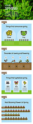 꽃 잎 일러스트 그래프 개구리 씨앗 사람없음 봄 인포그래픽 정보 개나리 국내일러스트 AI파일 식물 계절 양서류 파일형식 벡터
