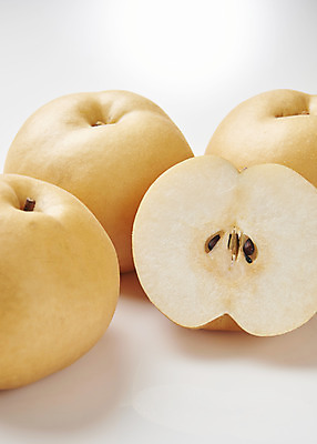 포토 JPG 스튜디오촬영 과일 단면 실내 누끼 사람없음 여러개 신선 배 달콤 오브젝트 흰배경 선물세트 명절선물 국내포토 명절 다수 백그라운드 선물 내부 흰색 맛 파일형식