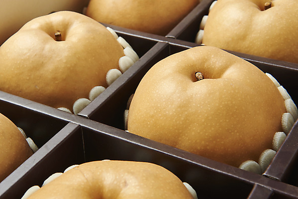 포토 JPG 스튜디오촬영 과일 실내 누끼 근접촬영 사람없음 여러개 신선 배 달콤 오브젝트 흰배경 선물세트 명절선물 국내포토 명절 뷰포인트 다수 백그라운드 선물 내부 흰색 맛 파일형식