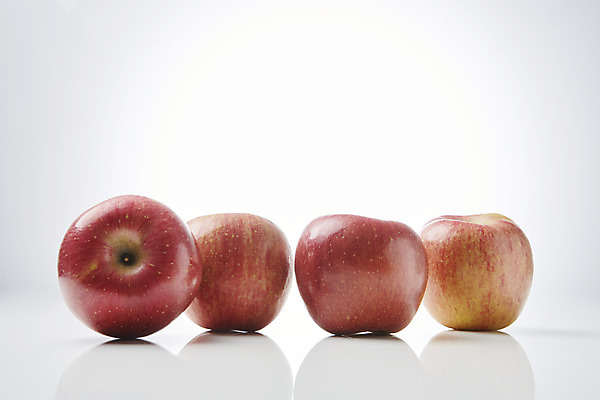 포토 JPG 스튜디오촬영 과일 실내 누끼 사람없음 여러개 신선 달콤 사과 오브젝트 흰배경 일렬 선물세트 명절선물 국내포토 명절 다수 백그라운드 선물 내부 흰색 맛 파일형식