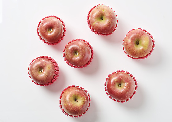포토 JPG 스튜디오촬영 과일 실내 누끼 사람없음 하이앵글 여러개 신선 달콤 사과 오브젝트 흰배경 선물세트 플랫레이 명절선물 국내포토 명절 뷰포인트 다수 백그라운드 선물 내부 흰색 플랫 맛 파일형식