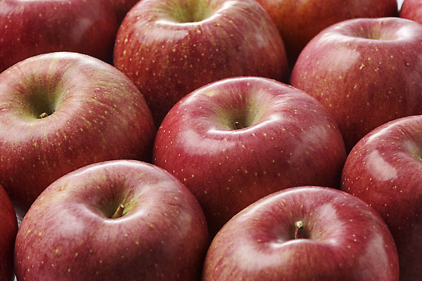 포토 JPG 스튜디오촬영 과일 실내 누끼 근접촬영 사람없음 여러개 신선 달콤 사과 오브젝트 흰배경 선물세트 명절선물 국내포토 명절 뷰포인트 다수 백그라운드 선물 내부 흰색 맛 파일형식