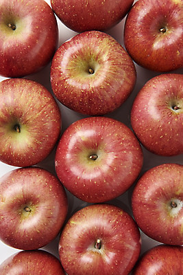 포토 JPG 스튜디오촬영 과일 실내 누끼 근접촬영 사람없음 하이앵글 여러개 신선 달콤 사과 오브젝트 흰배경 선물세트 플랫레이 명절선물 국내포토 명절 뷰포인트 다수 백그라운드 선물 내부 흰색 플랫 맛 파일형식