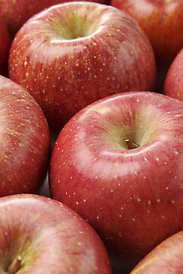 포토 JPG 스튜디오촬영 과일 실내 누끼 근접촬영 사람없음 여러개 신선 달콤 사과 오브젝트 흰배경 선물세트 명절선물 국내포토 명절 뷰포인트 다수 백그라운드 선물 내부 흰색 맛 파일형식