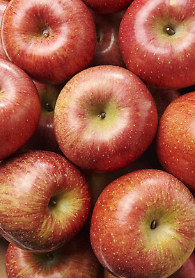 포토 JPG 스튜디오촬영 과일 실내 누끼 근접촬영 사람없음 하이앵글 쌓기 여러개 신선 달콤 사과 오브젝트 흰배경 선물세트 플랫레이 명절선물 국내포토 명절 뷰포인트 다수 백그라운드 모션 선물 내부 흰색 플랫 맛 파일형식