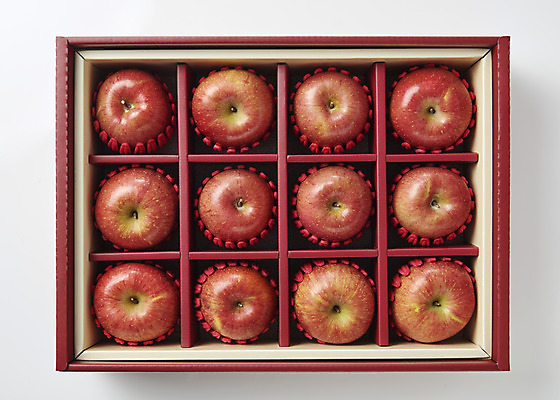 포토 JPG 스튜디오촬영 과일 실내 누끼 사람없음 하이앵글 여러개 신선 달콤 사과 오브젝트 흰배경 선물세트 사과박스 플랫레이 명절선물 국내포토 명절 뷰포인트 다수 백그라운드 선물 내부 상자 흰색 플랫 맛 파일형식