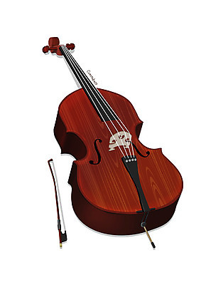 PSD 악기 음악 일러스트 현악기 사람없음 한개 오브젝트 서양악기 콘트라베이스 디테일 국내일러스트 1 문화예술 파일형식