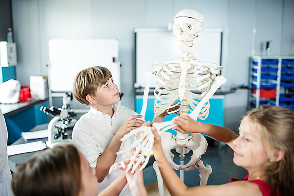 포토 JPG 서양인 외국인 학생 응시 여자 교육 남자 초등학생 어린이 과학 신체 뼈 실내 서기 사람 소녀 소년 상반신 앞모습 뒷모습 10대 세명 친구 만지기 잡기 체험학습 체험 박물관 체코 과학교육 해골모형 어린이만 국내포토 시선 유럽 뷰포인트 컨셉 관계 모션 청소년 인종 내부 모형 파일형식