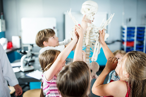 포토 JPG 서양인 외국인 학생 응시 여자 교육 남자 초등학생 어린이 과학 신체 장난 뼈 실내 서기 사람 소녀 소년 여러명 뒷모습 10대 친구 만지기 잡기 체험학습 체험 박물관 체코 과학교육 손뻗기 해골모형 어린이만 국내포토 시선 유럽 뷰포인트 다수 컨셉 관계 모션 청소년 인종 내부 모형 파일형식