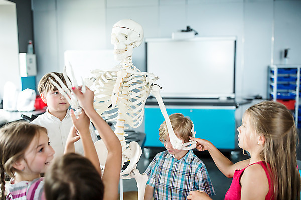 포토 JPG 서양인 외국인 학생 응시 여자 교육 남자 초등학생 어린이 과학 신체 장난 뼈 실내 서기 미소 사람 소녀 소년 여러명 상반신 앞모습 옆모습 뒷모습 10대 친구 잡기 체험학습 체험 박물관 체코 과학교육 손뻗기 해골모형 어린이만 국내포토 시선 유럽 뷰포인트 다수 컨셉 관계 모션 청소년 표정 인종 내부 모형 파일형식