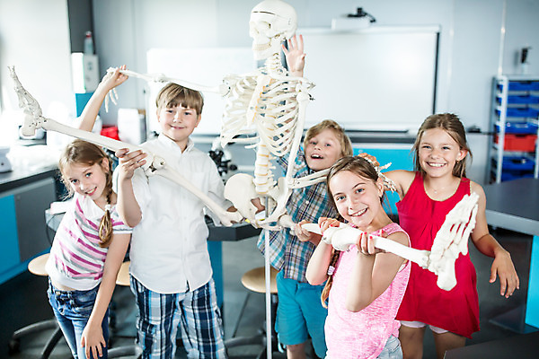 포토 JPG 서양인 외국인 학생 응시 여자 교육 남자 초등학생 어린이 과학 신체 장난 뼈 실내 서기 미소 사람 소녀 소년 여러명 상반신 앞모습 10대 친구 잡기 체험학습 체험 박물관 체코 과학교육 손뻗기 해골모형 어린이만 국내포토 시선 유럽 뷰포인트 다수 컨셉 관계 모션 청소년 표정 인종 내부 모형 파일형식