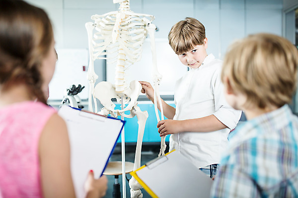 포토 JPG 서양인 외국인 학생 응시 여자 교육 남자 초등학생 어린이 과학 신체 뼈 실내 서기 사람 소녀 소년 상반신 앞모습 뒷모습 10대 세명 친구 잡기 체험학습 체험 박물관 체코 과학교육 해골모형 어린이만 국내포토 시선 유럽 뷰포인트 컨셉 관계 모션 청소년 인종 내부 모형 파일형식