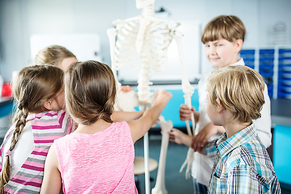 포토 JPG 서양인 외국인 학생 응시 여자 교육 남자 초등학생 어린이 과학 신체 장난 뼈 실내 서기 미소 사람 소녀 소년 여러명 상반신 옆모습 뒷모습 10대 친구 잡기 체험학습 체험 박물관 체코 과학교육 손뻗기 해골모형 국내포토 시선 유럽 뷰포인트 다수 컨셉 관계 모션 청소년 표정 인종 내부 모형 파일형식