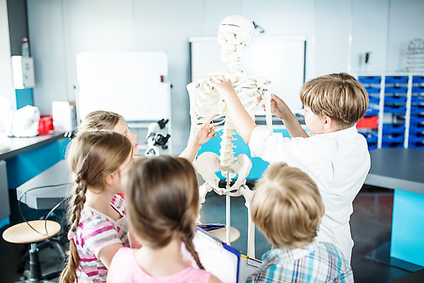 포토 JPG 서양인 외국인 학생 응시 여자 교육 남자 초등학생 어린이 과학 신체 뼈 실내 서기 사람 소녀 소년 여러명 상반신 옆모습 뒷모습 10대 친구 잡기 체험학습 체험 박물관 체코 과학교육 해골모형 어린이만 국내포토 시선 유럽 뷰포인트 다수 컨셉 관계 모션 청소년 인종 내부 모형 파일형식