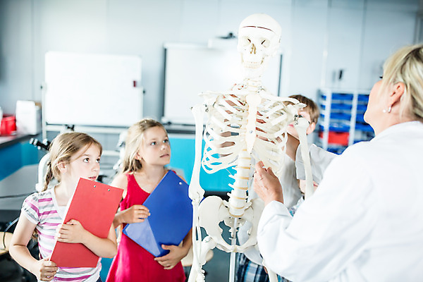 포토 JPG 서양인 외국인 학생 응시 여자 교육 남자 초등학생 어린이 중년 50대 과학 신체 수업 뼈 실내 설명 서기 사람 소녀 소년 여러명 상반신 앞모습 뒷모습 10대 친구 잡기 체험학습 체험 집중 박물관 체코 과학교육 과학선생님 해골모형 국내포토 시선 유럽 뷰포인트 다수 컨셉 관계 모션 청소년 인종 성인 내부 모형 교사 파일형식