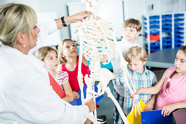 포토 JPG 서양인 외국인 학생 응시 여자 교육 남자 초등학생 어린이 중년 50대 과학 신체 수업 뼈 실내 설명 서기 사람 소녀 소년 여러명 상반신 앞모습 뒷모습 10대 친구 잡기 체험학습 체험 집중 박물관 체코 과학교육 과학선생님 해골모형 국내포토 시선 유럽 뷰포인트 다수 컨셉 관계 모션 청소년 인종 성인 내부 모형 교사 파일형식