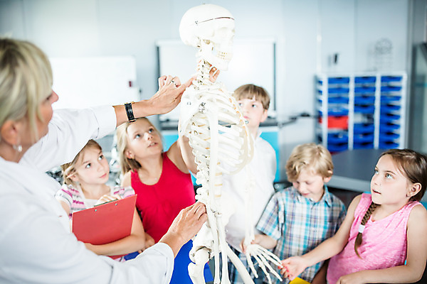 포토 JPG 서양인 외국인 학생 응시 여자 교육 남자 초등학생 어린이 중년 50대 과학 신체 수업 뼈 실내 설명 서기 사람 소녀 소년 여러명 상반신 앞모습 뒷모습 10대 친구 잡기 체험학습 체험 집중 호기심 박물관 체코 과학교육 과학선생님 해골모형 국내포토 시선 감정 유럽 뷰포인트 다수 컨셉 관계 모션 청소년 인종 성인 내부 모형 교사 파일형식