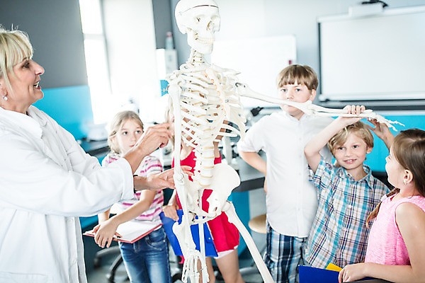 포토 JPG 서양인 외국인 학생 응시 여자 교육 남자 초등학생 어린이 중년 50대 과학 신체 장난 수업 뼈 실내 설명 서기 사람 소녀 소년 여러명 상반신 앞모습 옆모습 10대 친구 잡기 체험학습 체험 박물관 체코 과학교육 과학선생님 해골모형 국내포토 시선 유럽 뷰포인트 다수 컨셉 관계 모션 청소년 인종 성인 내부 모형 교사 파일형식