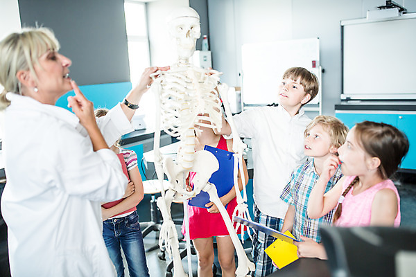 포토 JPG 서양인 외국인 학생 응시 여자 교육 남자 초등학생 어린이 중년 50대 과학 신체 수업 뼈 실내 설명 서기 사람 여러명 상반신 앞모습 옆모습 10대 친구 가리킴 잡기 체험학습 체험 입 박물관 체코 과학교육 과학선생님 해골모형 국내포토 시선 유럽 뷰포인트 다수 컨셉 관계 모션 청소년 인종 손짓 성인 내부 신체부위 모형 교사 파일형식