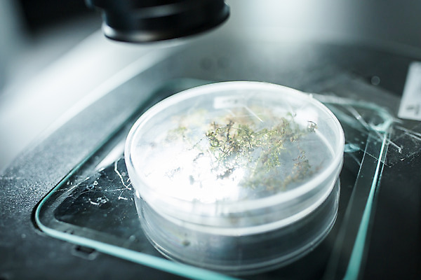 포토 JPG 접시 교육 과학 유리 실내 현미경 실험 근접촬영 사람없음 장비 체험학습 체험 실험실 연구원 분석 체코 샬레 국내포토 직업 식기 유럽 뷰포인트 컨셉 재질 실험기구 내부 파일형식