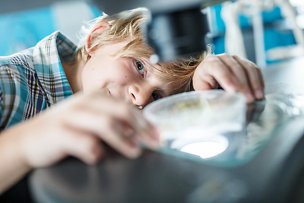 포토 JPG 서양인 외국인 학생 교육 남자 얼굴 초등학생 어린이 과학 실내 현미경 실험 한명 미소 사람 앉기 소년 상반신 옆모습 10대 잡기 체험학습 체험 집중 체코 과학교육 샬레 소년한명만 국내포토 1 유럽 뷰포인트 컨셉 모션 청소년 표정 실험기구 인종 내부 신체부위 남자한명만 소년만 파일형식