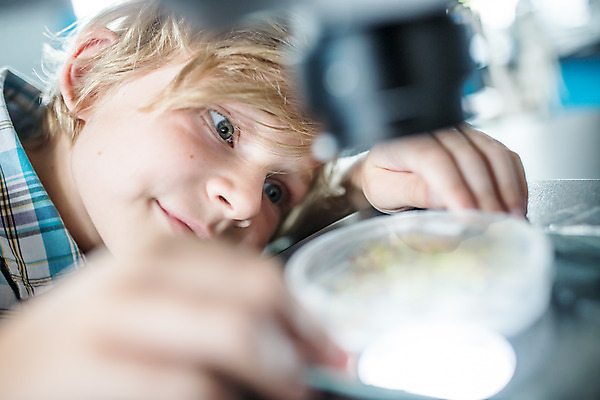 포토 JPG 서양인 외국인 학생 교육 남자 얼굴 초등학생 어린이 과학 실내 현미경 실험 한명 미소 사람 앉기 소년 상반신 10대 잡기 체험학습 체험 집중 박물관 체코 과학교육 샬레 소년한명만 국내포토 1 유럽 컨셉 모션 청소년 표정 실험기구 인종 내부 신체부위 남자한명만 소년만 파일형식