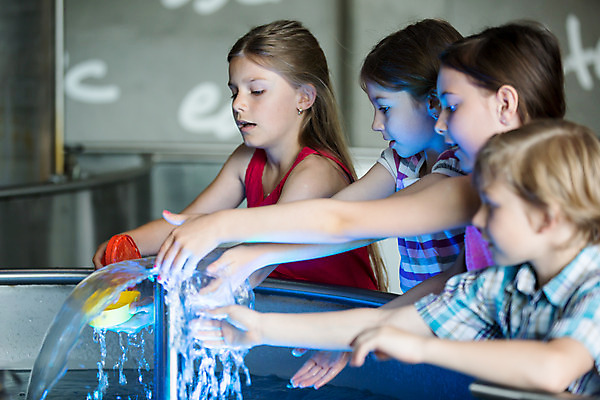포토 JPG 서양인 외국인 학생 응시 여자 교육 남자 초등학생 어린이 과학 실내 서기 사람 소녀 소년 여러명 상반신 옆모습 10대 물 친구 만지기 체험학습 체험 집중 박물관 체코 과학교육 손뻗기 수력에너지 어린이만 국내포토 자연요소 시선 유럽 뷰포인트 다수 컨셉 관계 모션 청소년 인종 내부 에너지 파일형식