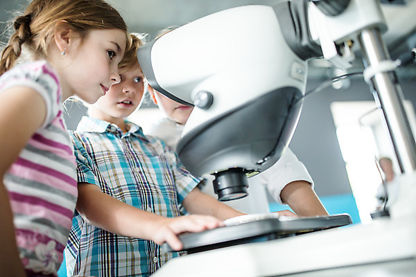 포토 JPG 서양인 외국인 학생 응시 여자 교육 남자 초등학생 어린이 과학 수업 실내 현미경 실험 서기 사람 소녀 소년 옆모습 10대 세명 친구 잡기 체험학습 체험 박물관 체코 과학교육 샬레 어린이만 국내포토 시선 유럽 뷰포인트 컨셉 관계 모션 청소년 실험기구 인종 내부 파일형식