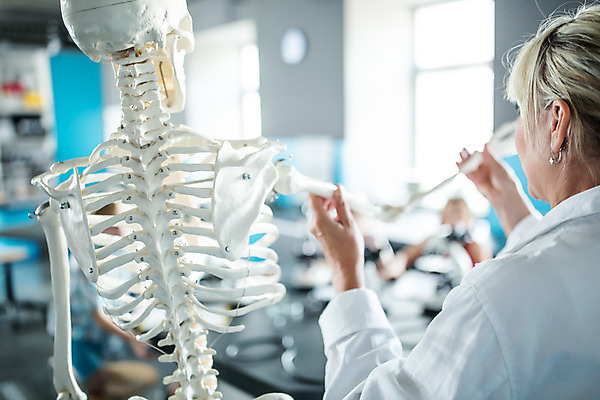 포토 JPG 서양인 외국인 학생 응시 여자 교육 남자 초등학생 어린이 중년 50대 과학 수업 뼈 실내 설명 사람 앉기 소녀 소년 여러명 상반신 뒷모습 10대 친구 잡기 체험학습 체험 집중 박물관 체코 과학교육 과학선생님 해골모형 국내포토 시선 유럽 뷰포인트 다수 컨셉 관계 모션 청소년 인종 성인 내부 모형 교사 파일형식