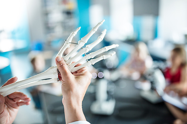 포토 JPG 서양인 외국인 학생 손 응시 여자 교육 남자 초등학생 어린이 중년 50대 과학 손가락 수업 뼈 실내 설명 사람 앉기 소녀 소년 여러명 상반신 아웃포커스 신체부위 10대 친구 잡기 체험학습 체험 집중 박물관 체코 과학교육 과학선생님 해골모형 국내포토 시선 유럽 다수 컨셉 관계 모션 청소년 촬영기법 인종 성인 내부 모형 교사 파일형식