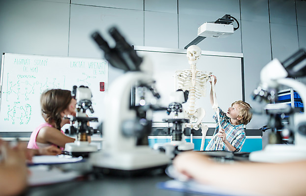 포토 JPG 서양인 외국인 학생 응시 여자 교육 남자 초등학생 어린이 과학 수업 뼈 실내 현미경 설명 서기 사람 여러명 상반신 옆모습 10대 친구 만지기 잡기 체험학습 체험 집중 박물관 체코 과학교육 해골모형 어린이만 국내포토 시선 유럽 뷰포인트 다수 컨셉 관계 모션 청소년 실험기구 인종 내부 모형 파일형식