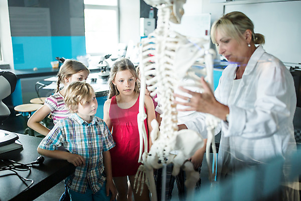 포토 JPG 서양인 외국인 학생 응시 여자 교육 남자 초등학생 어린이 과학 수업 뼈 실내 설명 서기 사람 앉기 소녀 소년 여러명 상반신 성인 앞모습 10대 친구 잡기 체험학습 체험 집중 박물관 체코 과학교육 과학선생님 해골모형 국내포토 시선 유럽 뷰포인트 다수 컨셉 관계 모션 청소년 인종 내부 모형 교사 파일형식