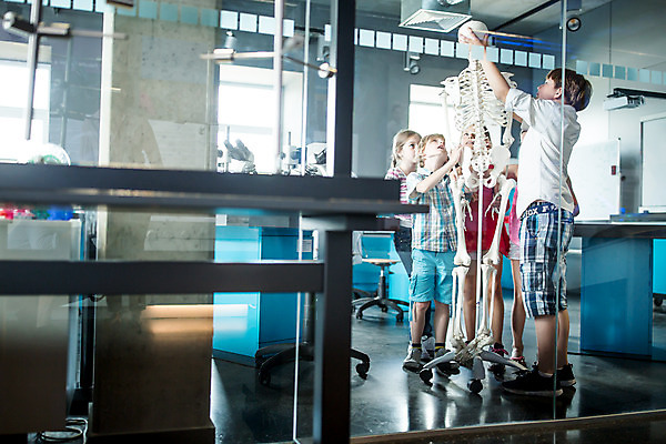 포토 JPG 전신 서양인 외국인 학생 응시 여자 교육 남자 초등학생 어린이 과학 수업 뼈 실내 현미경 설명 서기 사람 소녀 소년 여러명 옆모습 10대 친구 만지기 잡기 체험학습 체험 집중 박물관 체코 과학교육 해골모형 어린이만 국내포토 시선 유럽 뷰포인트 다수 컨셉 관계 모션 청소년 실험기구 인종 내부 모형 파일형식