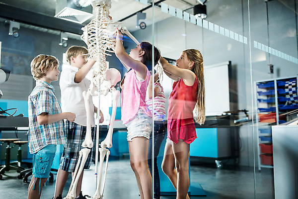 포토 JPG 전신 서양인 외국인 학생 응시 여자 교육 남자 초등학생 어린이 과학 수업 뼈 실내 현미경 설명 서기 사람 소녀 소년 여러명 옆모습 10대 친구 만지기 잡기 체험학습 체험 집중 박물관 체코 과학교육 해골모형 어린이만 국내포토 시선 유럽 뷰포인트 다수 컨셉 관계 모션 청소년 실험기구 인종 내부 모형 파일형식