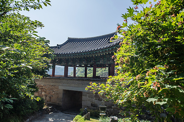 포토 JPG 주간 한국전통 꽃 여행 잎 유적지 하늘 풍경 사람없음 야외 여름 관광지 세계문화유산 문화재 역사 한국사 제천 청풍문화재단지 제천10경 청풍팔영루 팔작지붕 국내포토 자연요소 식물 전통 계절 고건축 한국건축 지붕 한국 충청북도 누각 파일형식