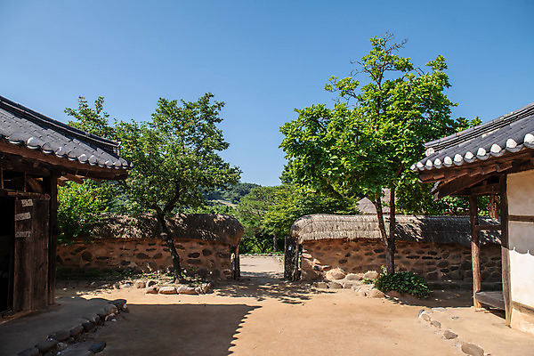 포토 JPG 주간 나무 한국전통 여행 잎 유적지 하늘 풍경 사람없음 야외 여름 관광지 세계문화유산 문화재 역사 한국사 제천 청풍문화재단지 제천10경 청풍도화리고가 국내포토 자연요소 식물 전통 계절 고건축 한옥 한국 충청북도 파일형식
