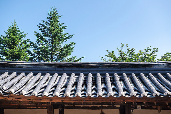 포토 JPG 주간 나무 한국전통 여행 유적지 하늘 지붕 풍경 사람없음 야외 여름 관광지 세계문화유산 문화재 역사 한국사 기와지붕 제천 청풍문화재단지 제천10경 청풍도화리고가 국내포토 자연요소 식물 전통 계절 고건축 한옥 한국 기와 충청북도 파일형식