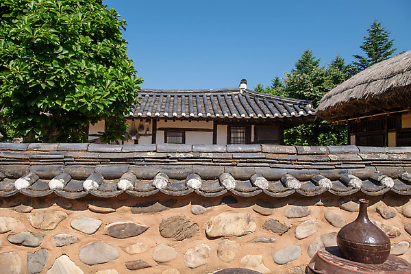 포토 JPG 주간 나무 한국전통 여행 유적지 풍경 사람없음 야외 여름 관광지 세계문화유산 문화재 항아리 역사 한국사 제천 기와담장 청풍문화재단지 제천10경 청풍황석리고가 국내포토 자연요소 식물 전통 계절 고건축 한옥 한국 기와 담장 도자기 충청북도 파일형식