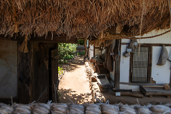 포토 JPG 주간 한국전통 여행 유적지 풍경 근접촬영 사람없음 야외 여름 관광지 세계문화유산 문화재 역사 한국사 제천 청풍문화재단지 제천10경 청풍황석리고가 국내포토 자연요소 전통 계절 뷰포인트 고건축 한옥 한국 충청북도 파일형식
