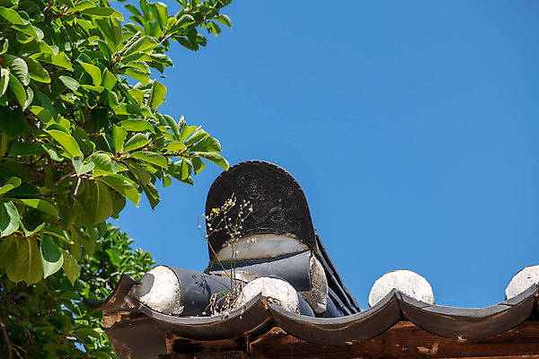 포토 JPG 주간 나무 한국전통 로우앵글 여행 유적지 하늘 풍경 사람없음 야외 여름 관광지 세계문화유산 문화재 역사 한국사 기와지붕 제천 청풍문화재단지 제천10경 청풍후산리고가 국내포토 자연요소 식물 전통 계절 뷰포인트 고건축 지붕 한옥 한국 기와 충청북도 파일형식