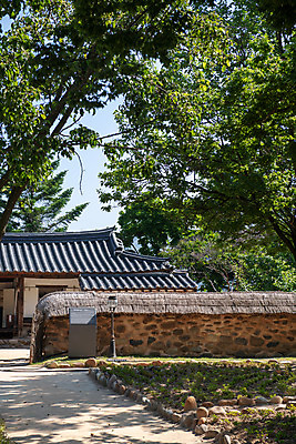 포토 JPG 주간 나무 한국전통 여행 유적지 풍경 사람없음 야외 여름 관광지 세계문화유산 문화재 역사 한국사 제천 청풍문화재단지 제천10경 청풍후산리고가 국내포토 자연요소 식물 전통 계절 고건축 한옥 한국 충청북도 파일형식