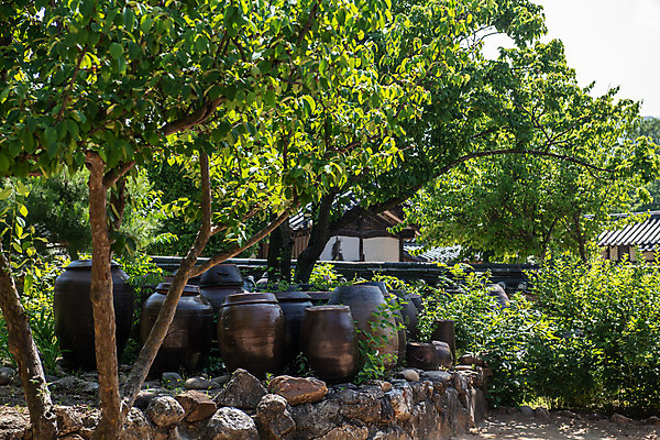 포토 JPG 주간 나무 한국전통 여행 유적지 풍경 사람없음 야외 여름 관광지 세계문화유산 문화재 항아리 역사 한국사 제천 청풍문화재단지 제천10경 수산지곡리고가 국내포토 자연요소 식물 전통 계절 고건축 한옥 한국 도자기 충청북도 파일형식
