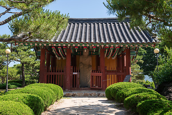 포토 JPG 주간 나무 한국전통 여행 유적지 풍경 사람없음 야외 여름 관광지 세계문화유산 문화재 역사 한국사 제천 청풍문화재단지 제천10경 청풍석조여래입상 국내포토 자연요소 식물 전통 계절 고건축 한국 불상 충청북도 파일형식