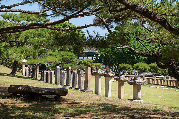 포토 JPG 주간 한국전통 여행 유적지 풍경 사람없음 야외 여름 관광지 여러개 세계문화유산 문화재 소나무 역사 한국사 비석 제천 청풍문화재단지 제천10경 국내포토 자연요소 나무 전통 계절 다수 고건축 한국 충청북도 파일형식
