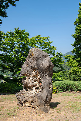 포토 JPG 주간 나무 한국전통 여행 유적지 풍경 사람없음 야외 여름 관광지 세계문화유산 문화재 역사 한국사 제천 청풍문화재단지 제천10경 국내포토 자연요소 식물 전통 계절 고건축 한국 충청북도 파일형식
