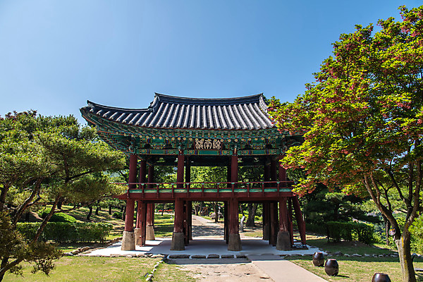 포토 JPG 주간 나무 한국전통 여행 유적지 하늘 풍경 사람없음 야외 여름 관광지 세계문화유산 문화재 역사 한국사 제천 청풍문화재단지 제천10경 팔작지붕 금남루 국내포토 자연요소 식물 전통 계절 고건축 한국건축 지붕 한국 정자_건축물 충청북도 파일형식