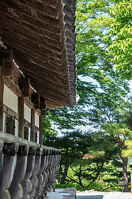 포토 JPG 주간 나무 한국전통 여행 유적지 풍경 근접촬영 사람없음 야외 여름 관광지 세계문화유산 문화재 역사 한국사 제천 청풍문화재단지 제천10경 팔작지붕 금병헌 국내포토 자연요소 식물 전통 계절 뷰포인트 고건축 한국건축 지붕 한국 충청북도 파일형식
