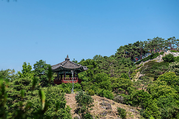 포토 JPG 주간 나무 한국전통 여행 유적지 하늘 풍경 사람없음 야외 여름 관광지 세계문화유산 문화재 역사 한국사 제천 청풍문화재단지 제천10경 청풍망월산성 망월루 관수정 국내포토 자연요소 식물 전통 계절 고건축 한국 정자_건축물 충청북도 산성 파일형식